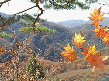 医药企业要防止陷入“内卷式”竞争